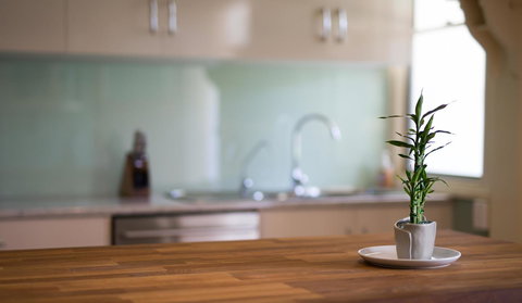 Bilyara House - New Castle Holiday 21