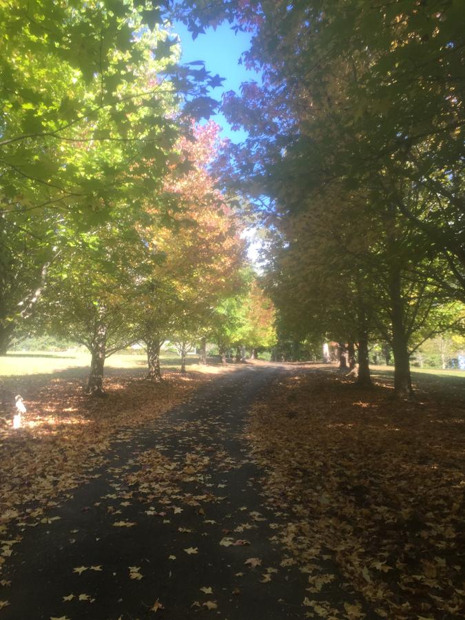 Bonville NSW New Castle Holiday