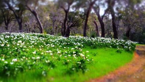 Chandlers Smiths Beach Villas - New Castle Holiday 13