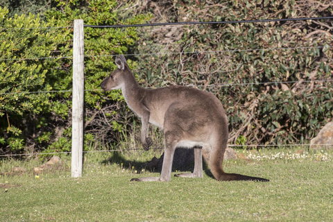 Chandlers Smiths Beach Villas - New Castle Holiday 15