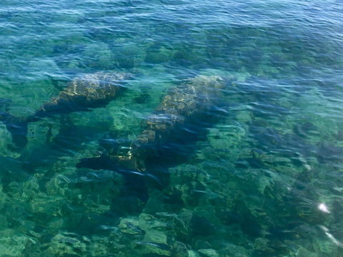 Escape 2 Exmouth - New Castle Holiday 28