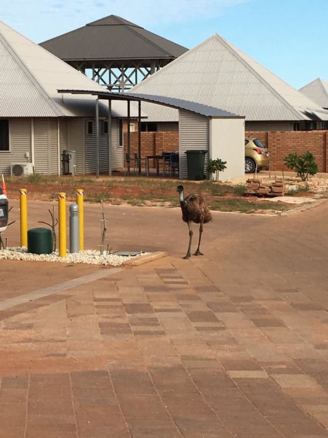 Escape 2 Exmouth - New Castle Holiday 16