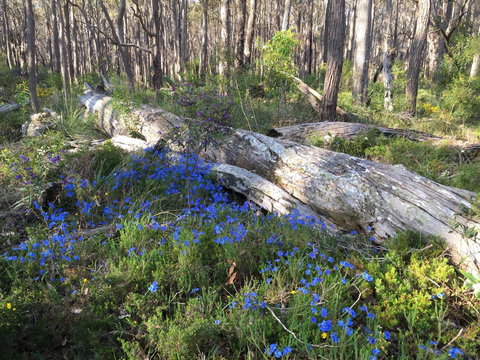 Simala Retreat - New Castle Holiday 1
