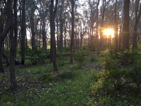 Simala Retreat - New Castle Holiday 4