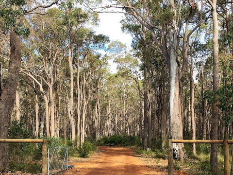 Simala Retreat - New Castle Holiday 6