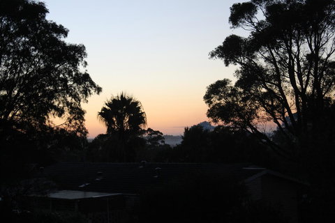 Christina's@Denmark - New Castle Holiday 8