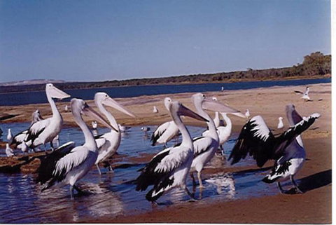 Unit 42 Kalbarri Beach Resort - New Castle Holiday 17