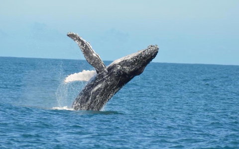 Unit 42 Kalbarri Beach Resort - New Castle Holiday 20