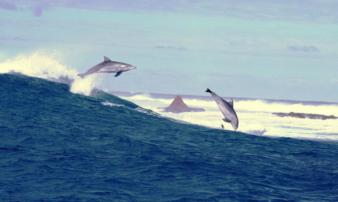 Unit 42 Kalbarri Beach Resort - New Castle Holiday 22