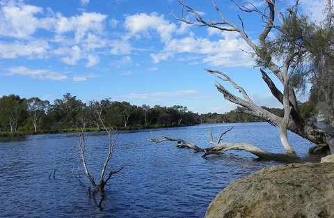 Ascot Comfort - New Castle Holiday 23