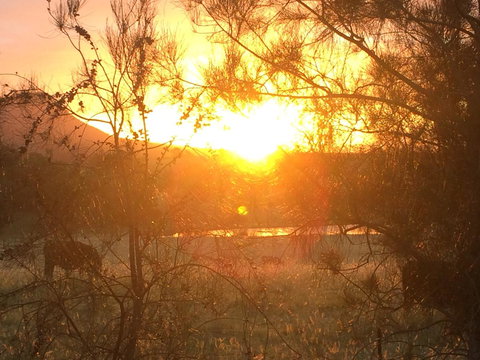 Grapevines Boutique Accommodation - New Castle Holiday 27