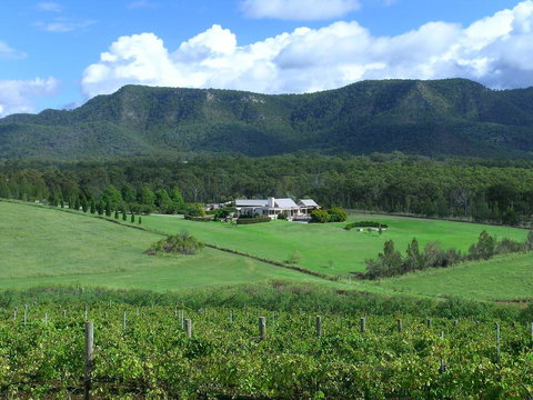 Grapevines Boutique Accommodation - New Castle Holiday 23