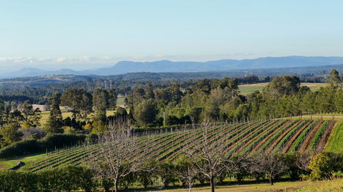 Grapevines Boutique Accommodation - New Castle Holiday 21