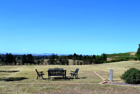 Grapevines Boutique Accommodation - New Castle Holiday 18