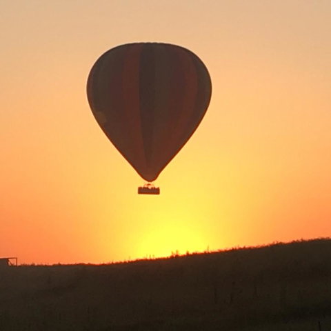 Grapevines Boutique Accommodation - New Castle Holiday 13