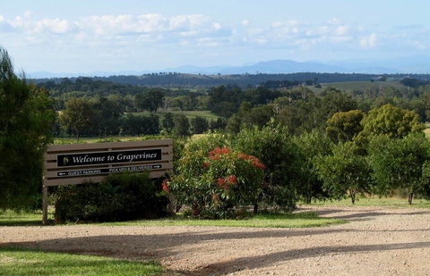 Grapevines Boutique Accommodation - New Castle Holiday 15