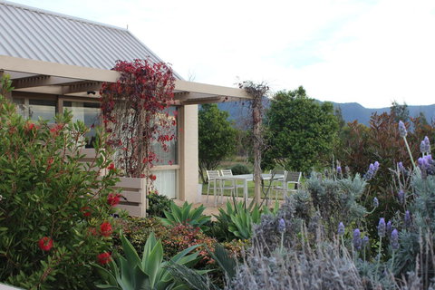 Grapevines Boutique Accommodation - New Castle Holiday 28