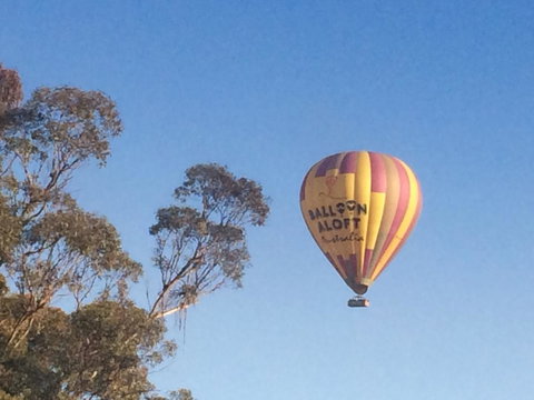 Grapevines Boutique Accommodation - New Castle Holiday 12