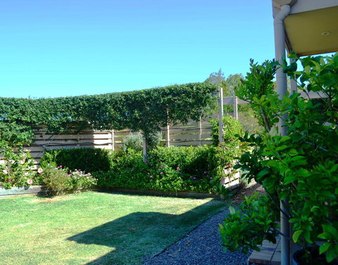 Grapevines Boutique Accommodation - New Castle Holiday 14