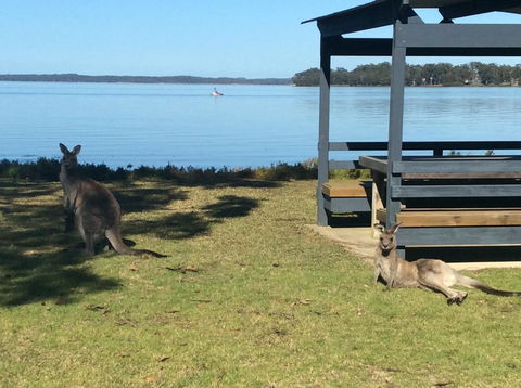 Dungowan Holiday Accommodation - New Castle Holiday 33