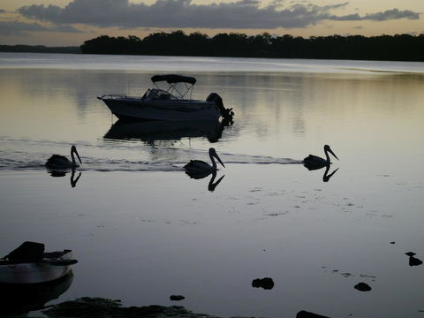 Dungowan Holiday Accommodation - New Castle Holiday 41