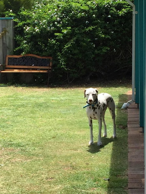 Beachside Prevelly Villas - New Castle Holiday 31