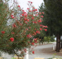 The Heights Bed  Breakfast - New Castle Holiday