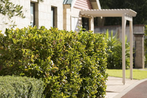 Amalfi Resort - New Castle Holiday 9