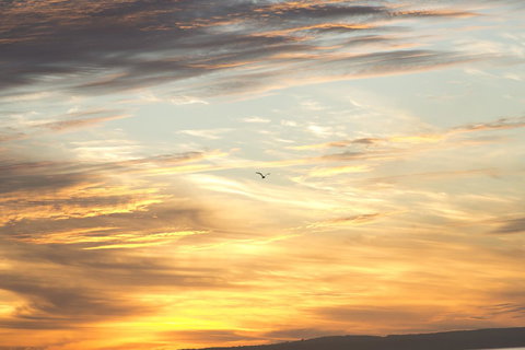 Amalfi Resort - New Castle Holiday 6