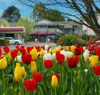 Nesuto Leura Gardens formerly Waldorf Leura Gardens Resort - New Castle Holiday