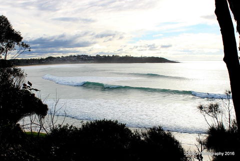Mollymook Cove Apartments - New Castle Holiday 2