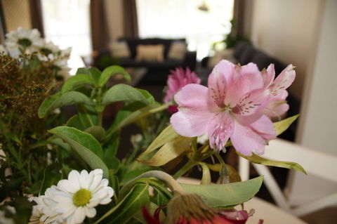 Ocean Breeze At Caba - New Castle Holiday 11