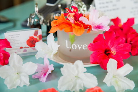 Kempsey Rose Motor Inn - New Castle Holiday 36