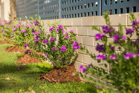 Kempsey Rose Motor Inn - New Castle Holiday 15