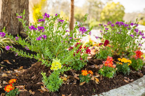 Kempsey Rose Motor Inn - New Castle Holiday 28