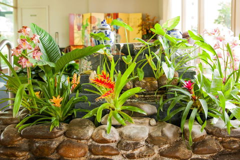 Kempsey Rose Motor Inn - New Castle Holiday 44