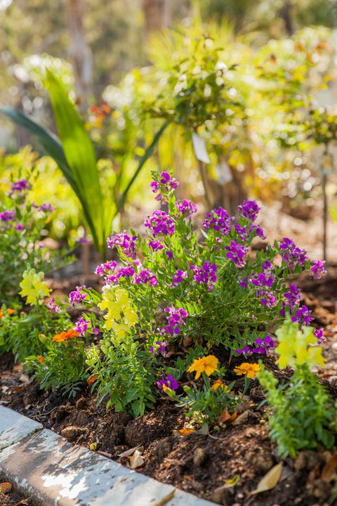 Kempsey Rose Motor Inn - New Castle Holiday 6