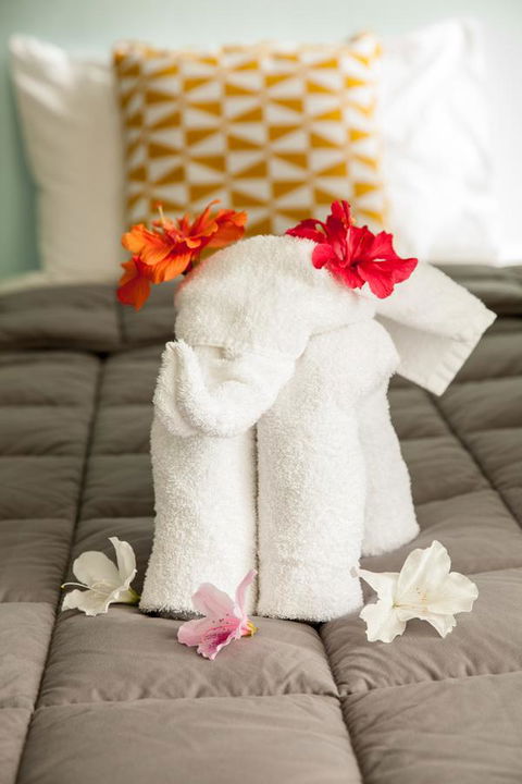 Kempsey Rose Motor Inn - New Castle Holiday 17