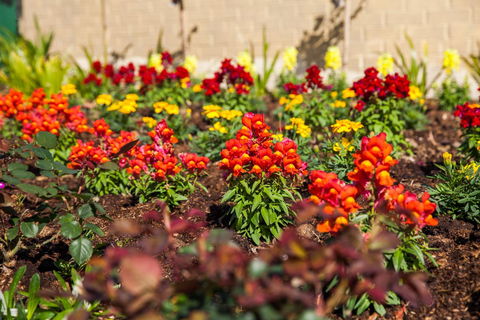 Kempsey Rose Motor Inn - New Castle Holiday 20