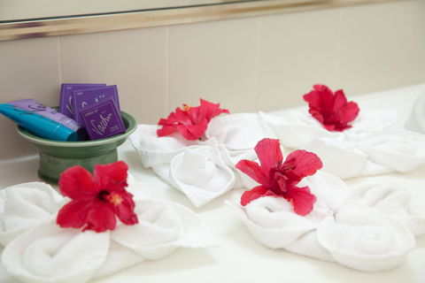 Kempsey Rose Motor Inn - New Castle Holiday 14