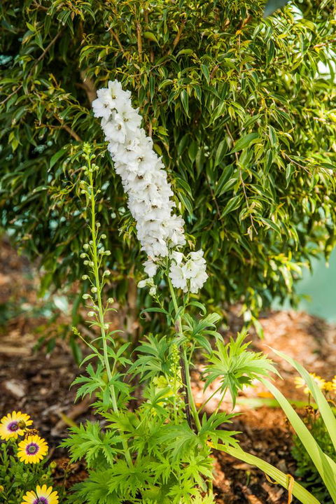 Kempsey Rose Motor Inn - New Castle Holiday 37