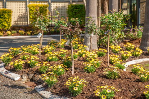 Kempsey Rose Motor Inn - New Castle Holiday 23