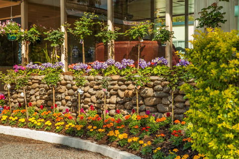 Kempsey Rose Motor Inn - New Castle Holiday 34