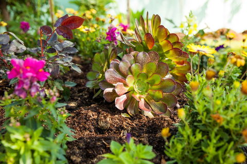 Kempsey Rose Motor Inn - New Castle Holiday 35