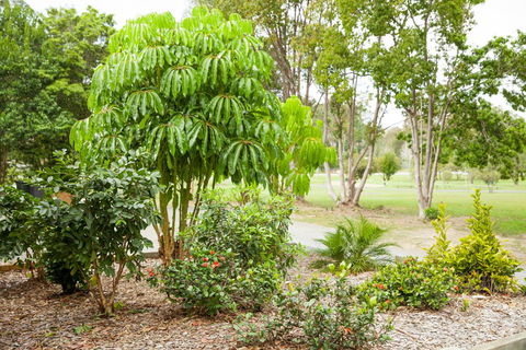 Kempsey Rose Motor Inn - New Castle Holiday 42