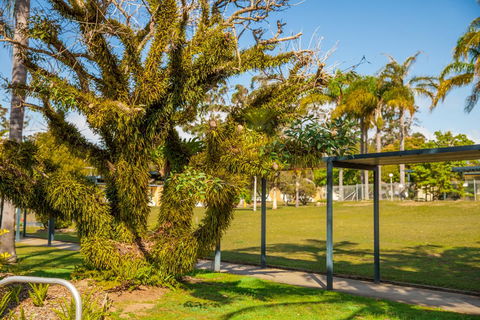 Kempsey Rose Motor Inn - New Castle Holiday 41