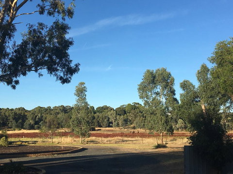 Junee Motor Inn - New Castle Holiday 24