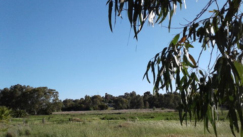 Junee Motor Inn - New Castle Holiday 8