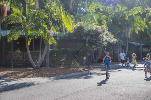 The Palms At Avoca - New Castle Holiday 14