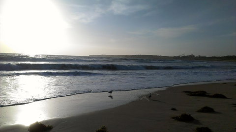 Sweet Spot Shellharbour - New Castle Holiday 14